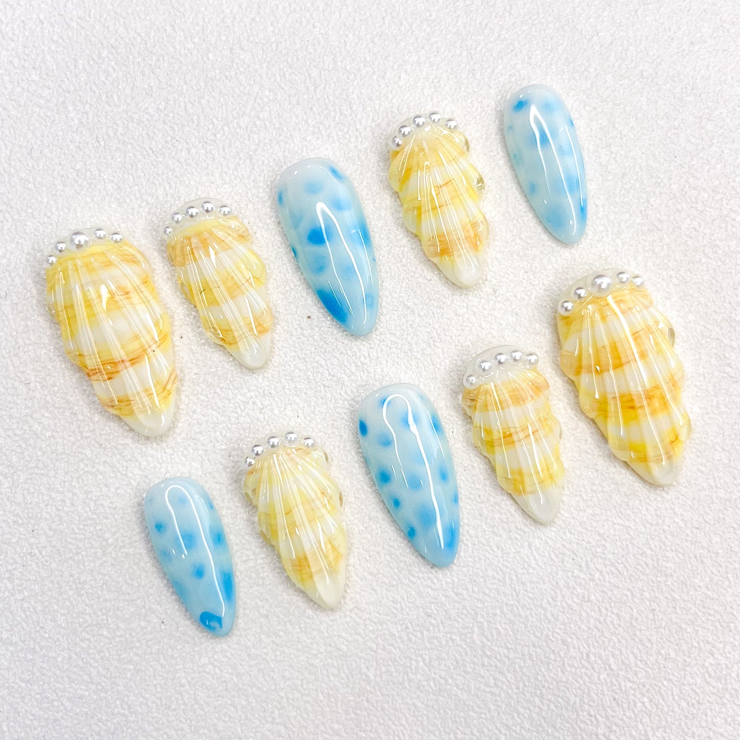 Wave-Kissed Shells