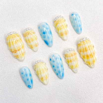 Wave-Kissed Shells